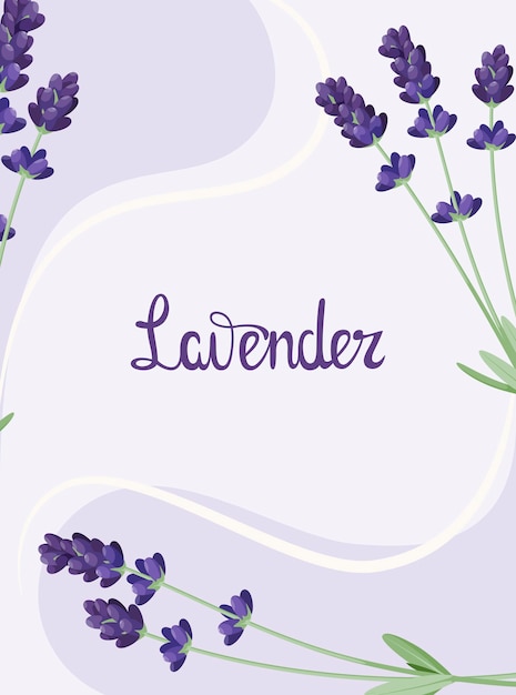 라벤더 꽃 포스터입니다.