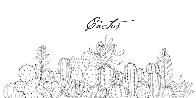 Poster con ornamento disegnato a mano lettering cactus e succulente su sfondo bianco composizione vettoriale in stile scketch