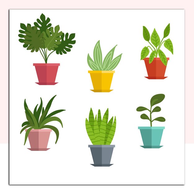 Vector a poster with a picture of a plant and the words potted plants