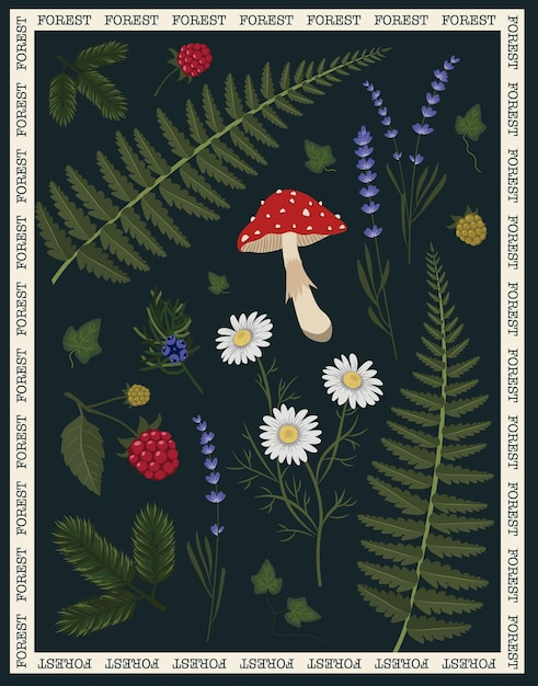 Vector poster with plants berries flowers and mushrooms