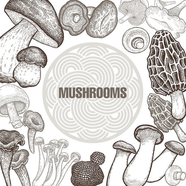 Poster with variants of mushrooms.