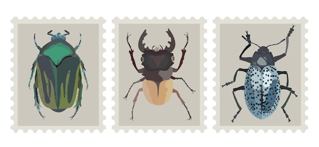 Postzegel set met bugs Drie postzegels met verschillende kevers Vector geïsoleerde illustratie