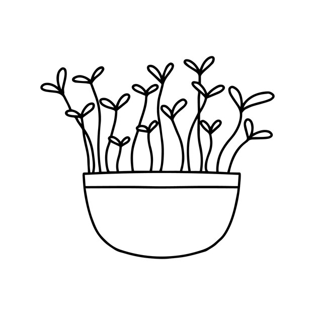 Pot of microgreens microgreens peas radish onion arugula sunflower beets and others vector illustration isolated on white background doodle style vector illustration