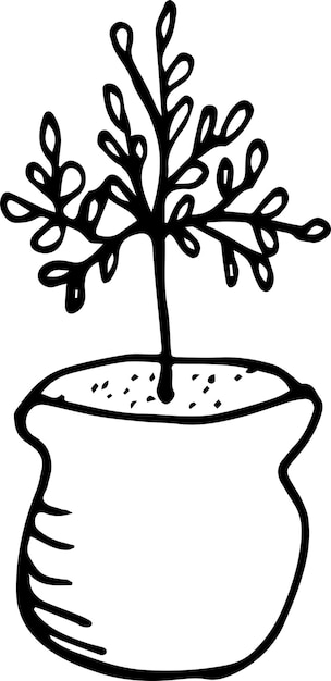 Pot plant illustration