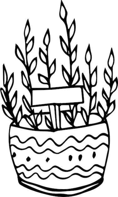 Pot plant illustration