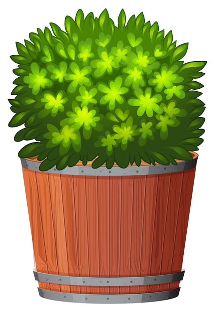 Вектор Горшечное растение с зелеными листьями на изолированном белом фоне