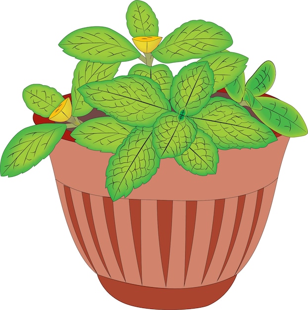 Pot with leaves vector illustration