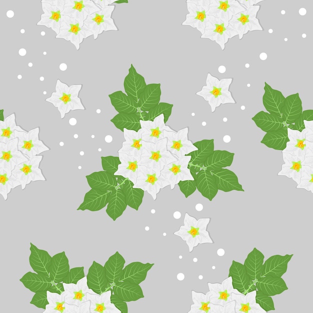 Potato flowers and potato leaves seamless pattern