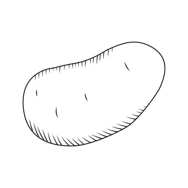 Vector potato logo