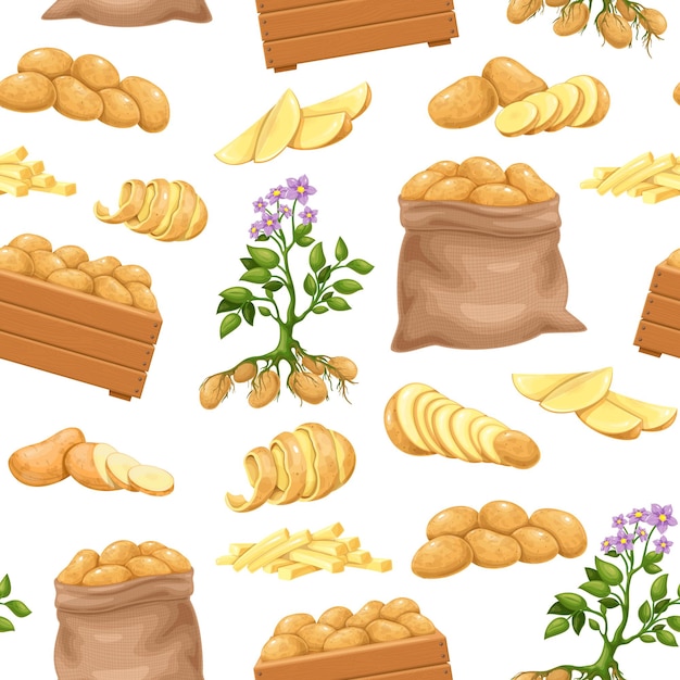 Potato products seamless pattern, vector illustration. background with whole root potatoes in burlap sack, tubers in cartoon realistic style. vector illustration of harvest vegetables.