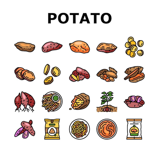 Potato sweet food yam orange icons set vector