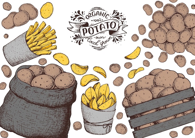 Vector potato vector illustration box and bag of potatoes french fries rustic potatoes and chips hand drawn engraved style illustration packaging design
