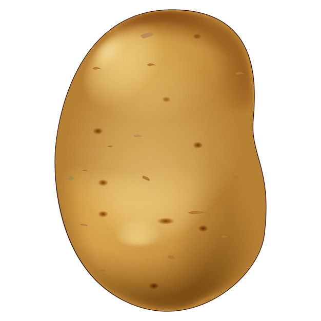 Vector potato with gradient color concept