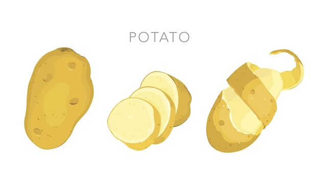 Potato with slices and leaves premium vector