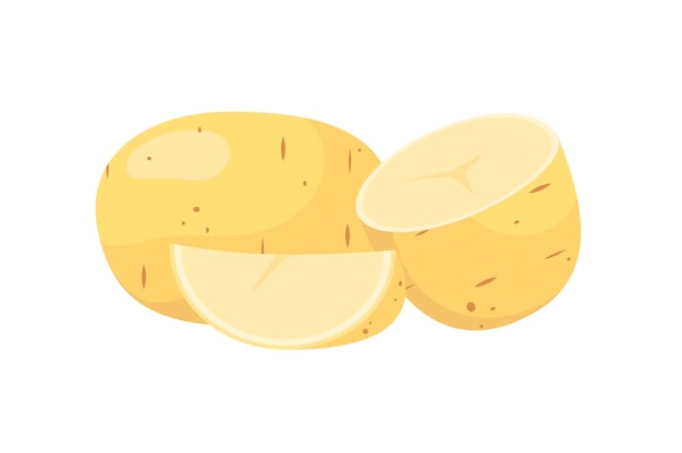 Vector potatoes on a white background cartoon design