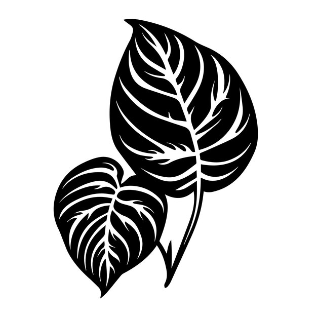 pothos leaf black and white vector template set for cutting and printing