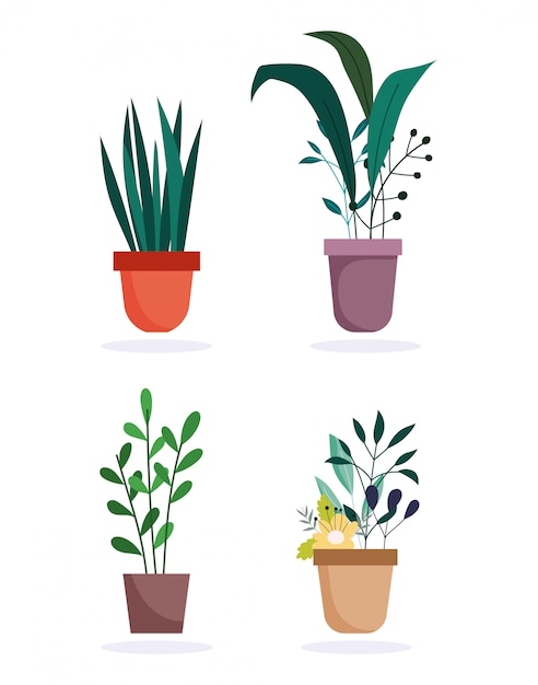 Potplanten gebladerte decoratie interieur geïsoleerd ontwerp