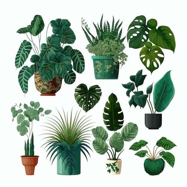 Potplanten vector collectie op witte achtergrond Handgetekende illustratie geïsoleerd op witte achtergrond