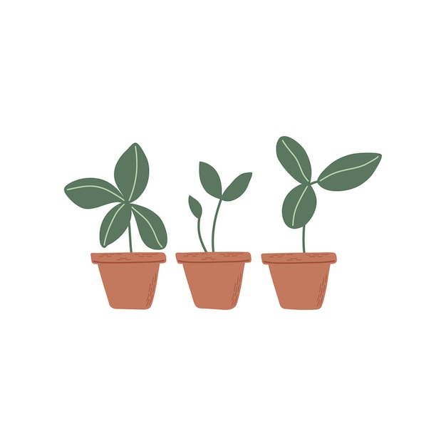 Vector pots with sprouts set of simple plants with green leaves in brown pots