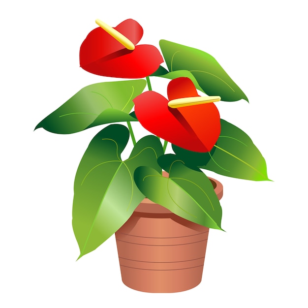 Vector a potted anthurium plant