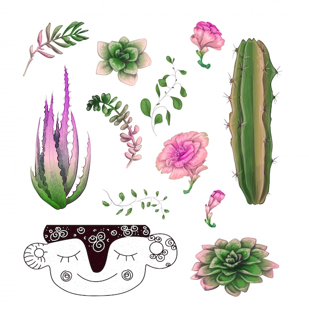 Insieme di raccolta del distintivo delle piante dei cactus e dei succulenti conservati in vaso.
