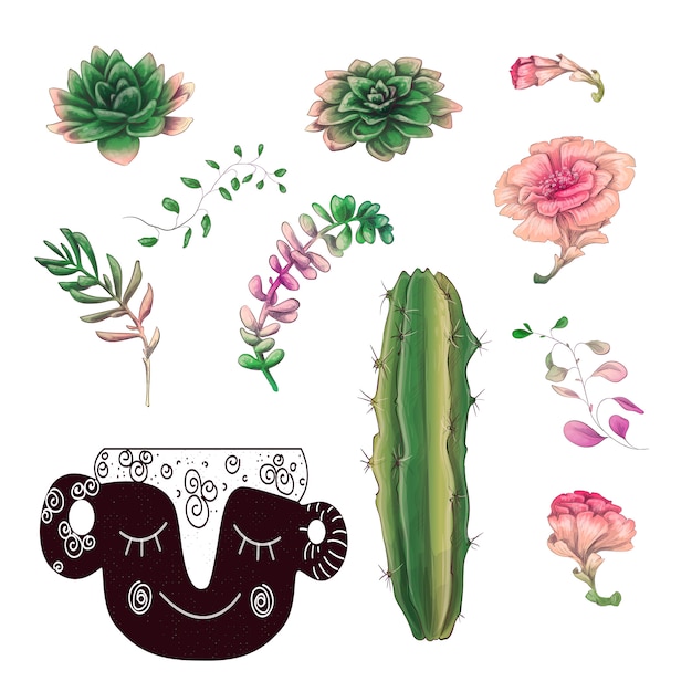 Potted cacti and succulents plants badge collection set.