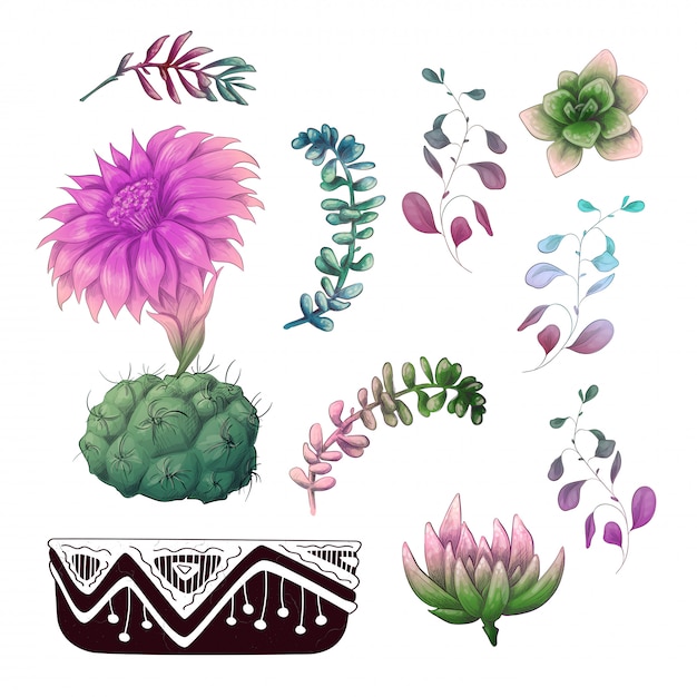 Vector potted cacti and succulents plants badge collection set.