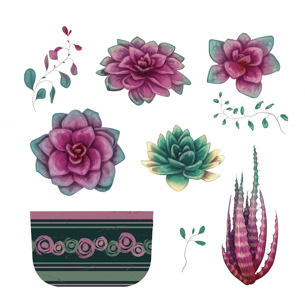 Potted cacti and succulents plants badge collection set.