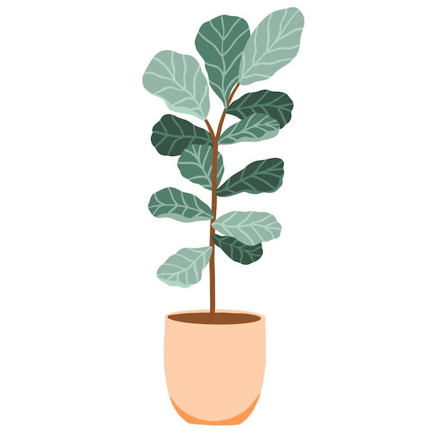 Potted Fiddle Leaf Fig Plant Illustration