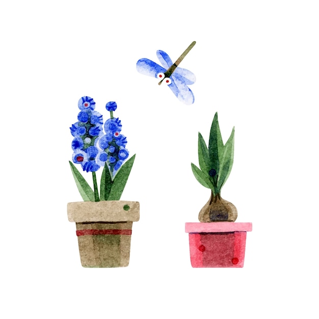 Potted flowers a blue hyacinth in a brown clay pot and a bulbous plant in a red vase watercolor handdrawn illustrations isolated on a white backdrop for card print poster sticker flower market