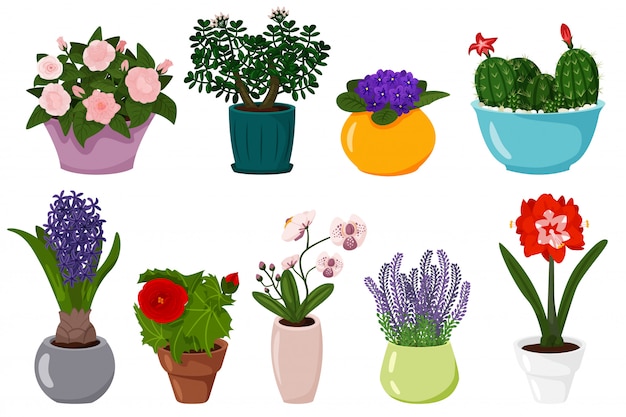 Vector potted flowers set.  blooming potted plant