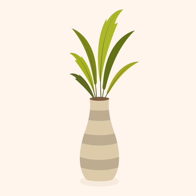 Potted House Plant