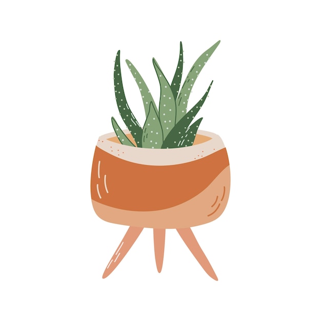 Potted houseplant Indoor succulent in modern flower pot Healing aloe vera plant Vector clipart