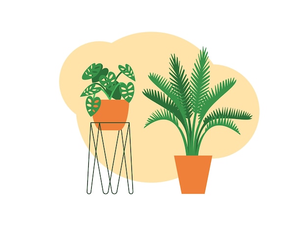 Vector potted indoor house plants