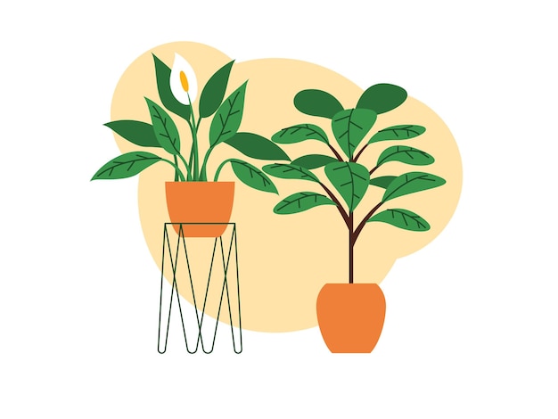 Premium Vector | Potted indoor house plants