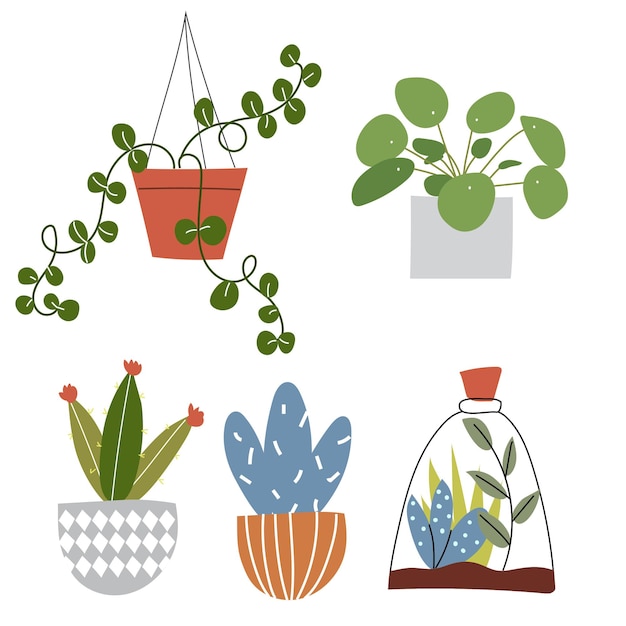 Vector potted indoor plants and succulents in flat design