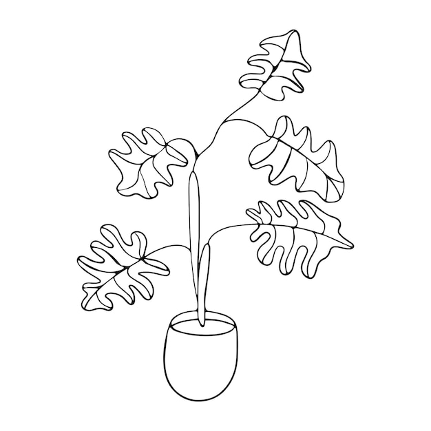 Potted palm tree in doodle style