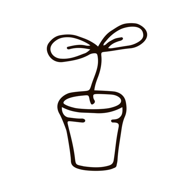 Potted plant Hand drawn vector illustration in doodle style isolated on a white background