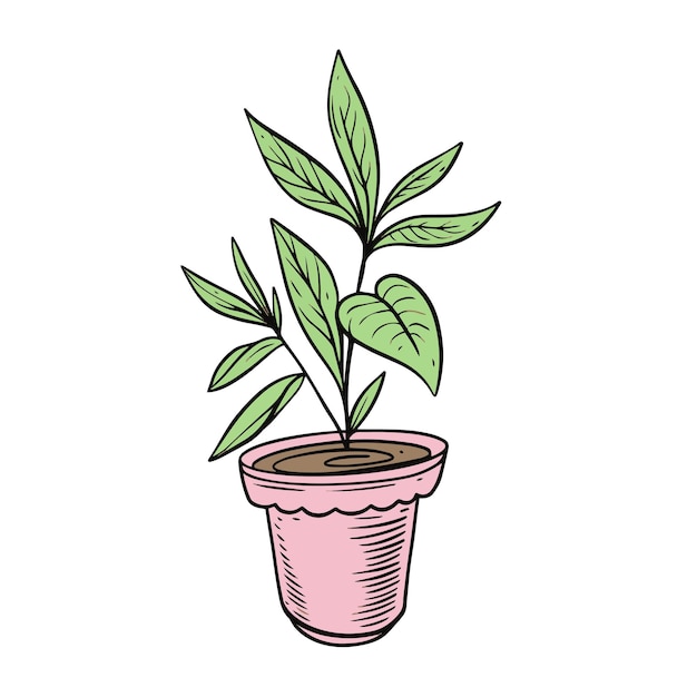 A potted plant with leaves in it