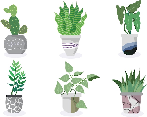 Коллекция горшечных растений суккуленты и комнатные растения рисованной векторной графики