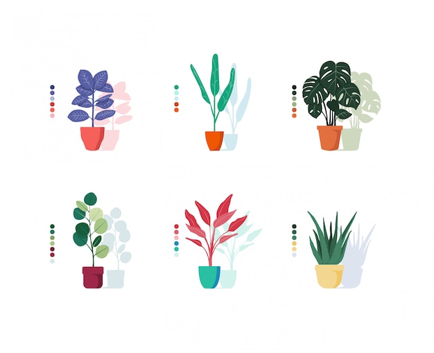 鉢植えの植物のカラフルなイラスト