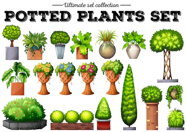 Potted plants in the garden illustration