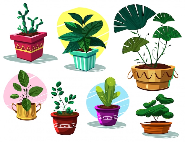 Vector potted plants illustration