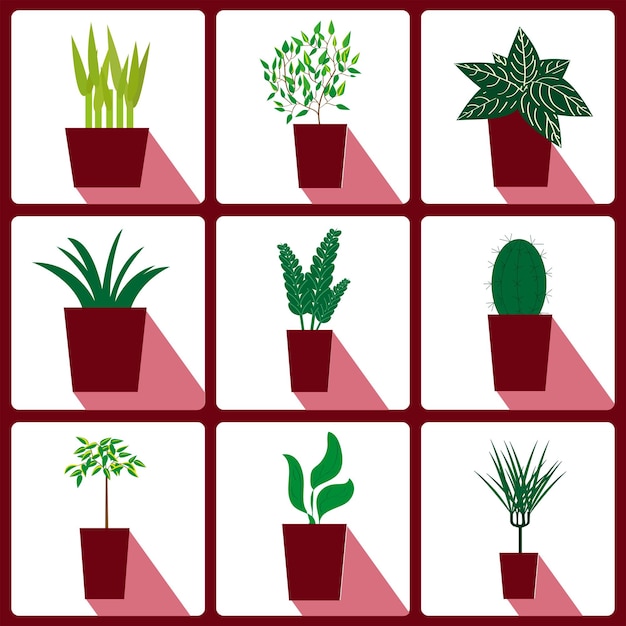 Potted plants set Interior houseplants. Home indoor green decor. Flat graphic vector illustrations