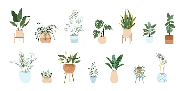 Vector potted plants set interior houseplants home indoor green decor vector illustrations