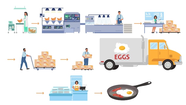 Allevamento di pollame, infografica vettoriale per la produzione di uova. linea di lavorazione della fabbrica di pollo, distribuzione, vendita. industria alimentare.