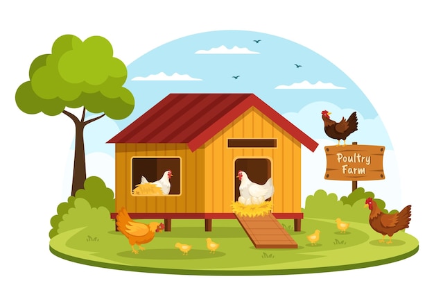 벡터 만화 그림에서 그린 필드 배경 보기에 닭고기와 달걀 농장이 있는 가금류