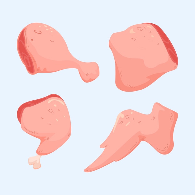 Vector poultry raw meat pieces