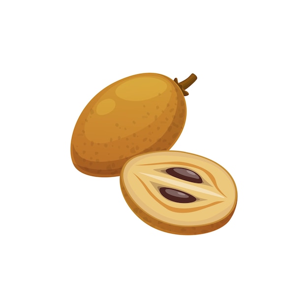 Pouteria sapota mamey sapot Sapodilla fruit food