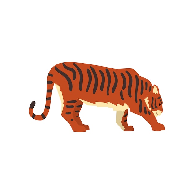 Powerful tiger side view wild cat predator cartoon vector illustration on a white background